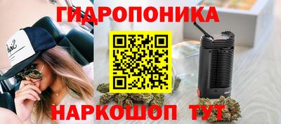 гашик Краснодар