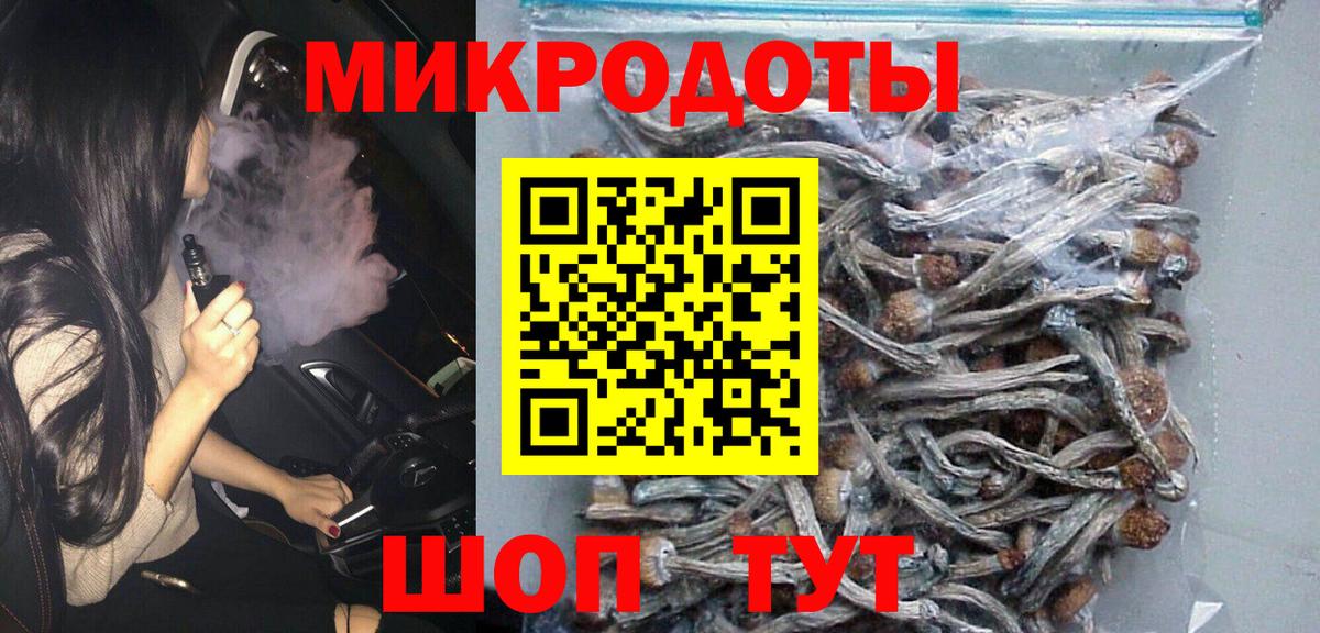 Псилоцибиновые грибы мицелий Звенигород