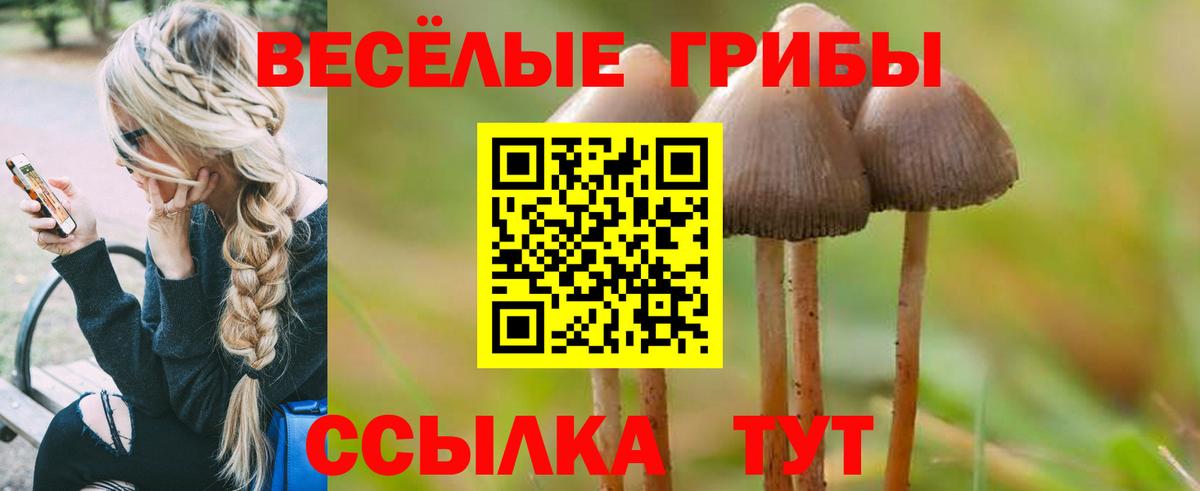 Галлюциногенные грибы Psilocybe  Псилоцибиновые грибы Magic Shrooms  Вход с VPN  Звенигород 